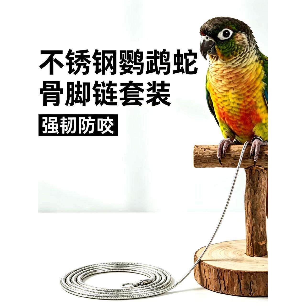 鹦鹉牵引绳小太阳专用脚链脚环和尚外出遛鸟绳鸟用放飞绳不锈钢链