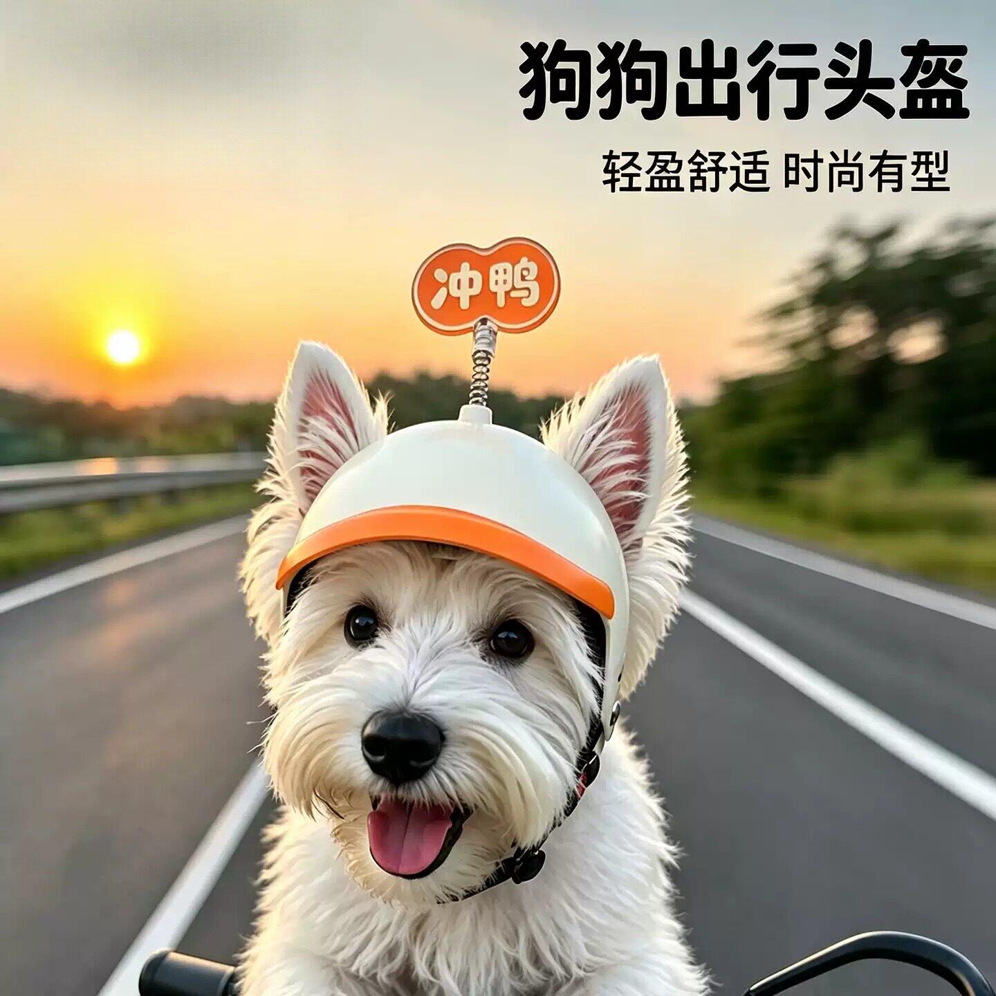 狗狗头盔外出遮阳帽宠物帽子比熊雪纳瑞小型犬帽可爱摩托车帽