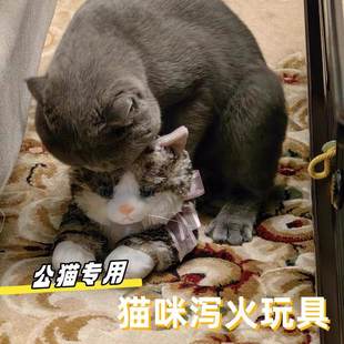 公猫发情玩具公猫咪安抚解闷自慰陪睡宠物伴侣泻火交配假母猫玩偶