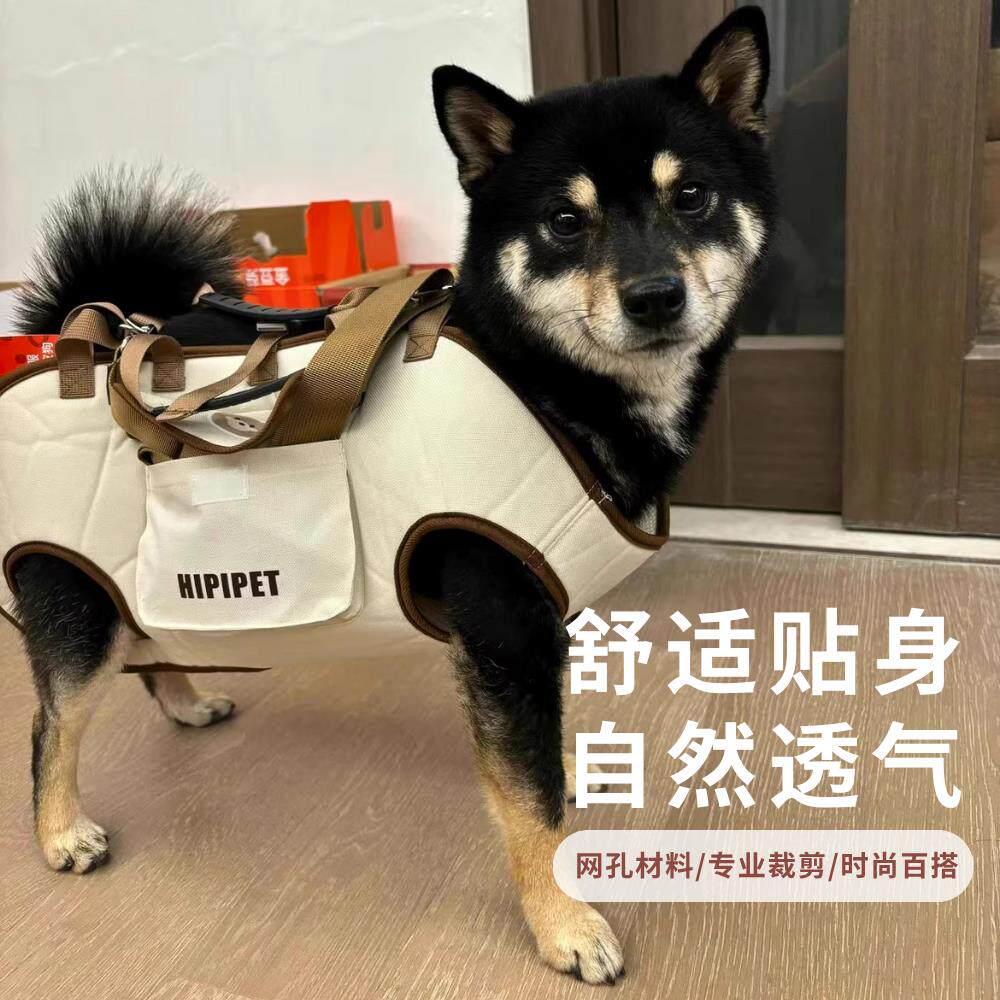 宠物小狗狗自背包小型犬便携外出包比熊柯基斜挎手提包狗包
