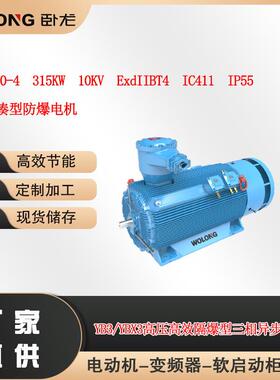 YBX3-400-4 315KW 10KV ExdIIBT4 IP55高压紧凑型防爆电机