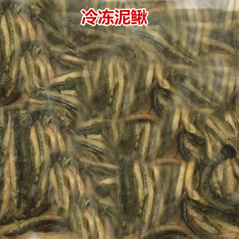 新疆包邮观赏鱼粮食饲料冷冻新鲜虾仁泥鳅段孵化丰年虾卤活体蚯蚓