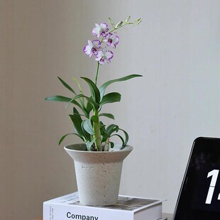 室内韩式陶土透气陶瓷p花盆陶盆陶土石斛兰绿植盆栽兰花高脚大口