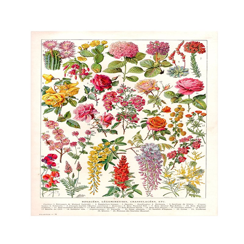 欧洲复古蘑菇挂布植物民宿挂毯宿舍书桌H床头装饰背景布ins风竖版