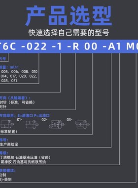适用T6C-025叶片泵T6CL-008/012/010/017/028/031高压柱销式