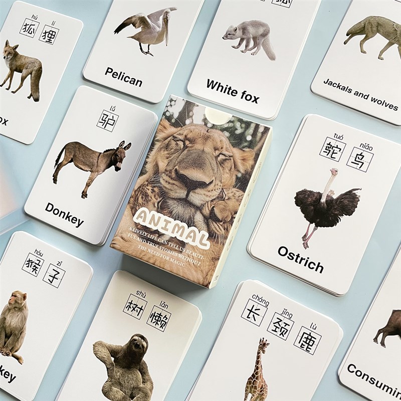 55张中英文动物小卡幼儿园儿童早教启蒙学习认知益智明信片小卡片