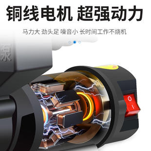 极速名磊家用电瓶车水泵24v抽水机农用12v直流增压泵48v不锈钢自