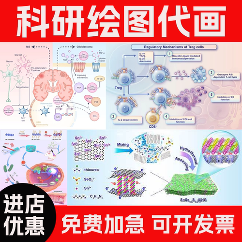 科研绘图代画插画SCI期刊封面医学插图画图origin图文美化机制图