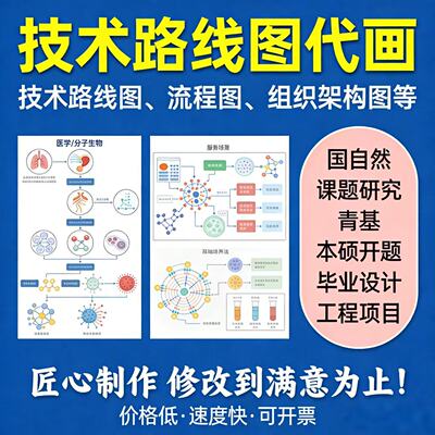 技术路线图代画国自然科学基金课题研究申报技术路线图框架图绘图