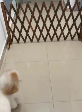 可伸缩挡兔门狗笼隔离阳台院子宠物围栏狗栅栏栅栏门隔断拦狗挡猫