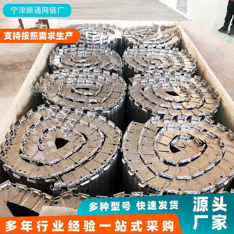 大节距工业链条单双排机械碳钢重型滚子链非标不锈钢异形输送链条,五金/工具,传动链,淘宝优惠券,粉丝福利购,淘宝优惠卷