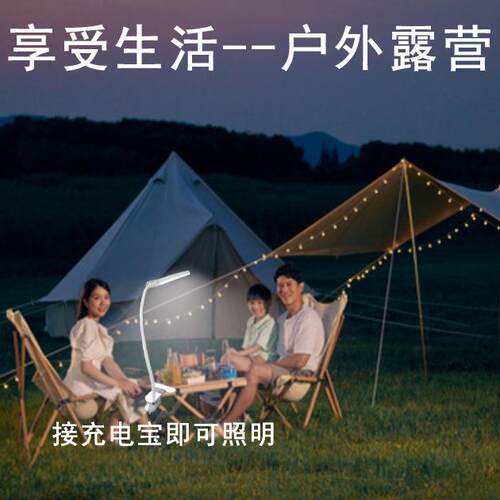 眼睛护理台灯无级调光可调节柔性鹅颈管10WUSB适配器台灯带夹子