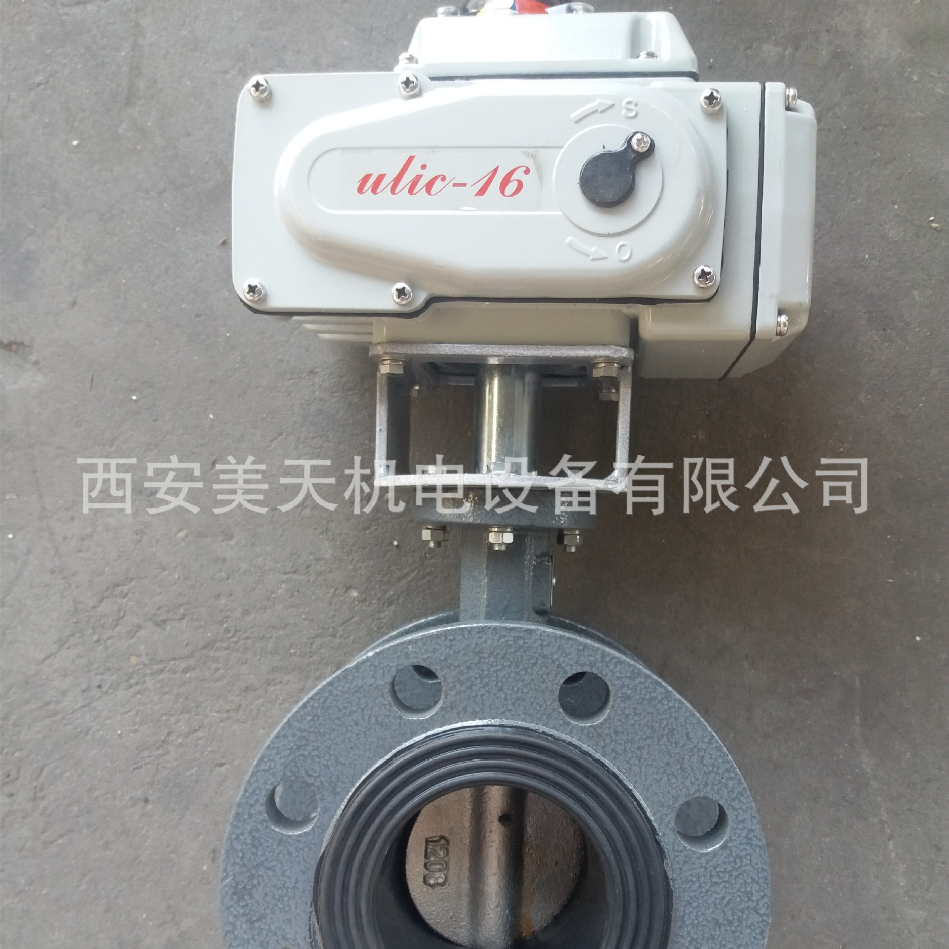 DN65 电动蝶阀 AC220V