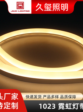 1023霓虹灯带 24v硅胶挤出 KTV招牌创意软灯条防水嵌入式低压灯带