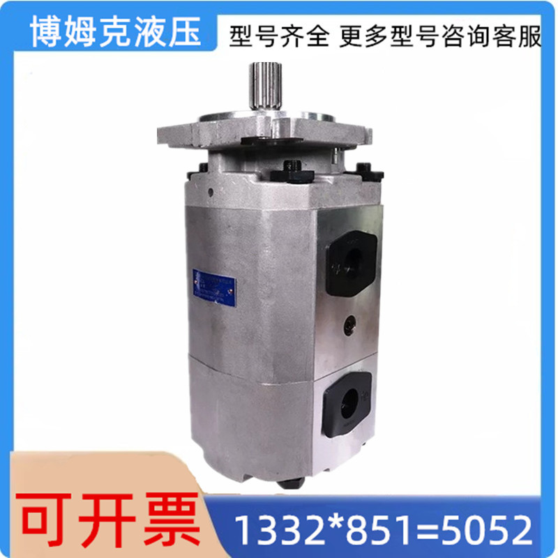 长源款双联齿轮泵压路机专用