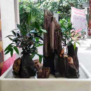 极速天然大理石汉白玉盆景盆假山盆上水石托盘长方椭圆大号吸水石