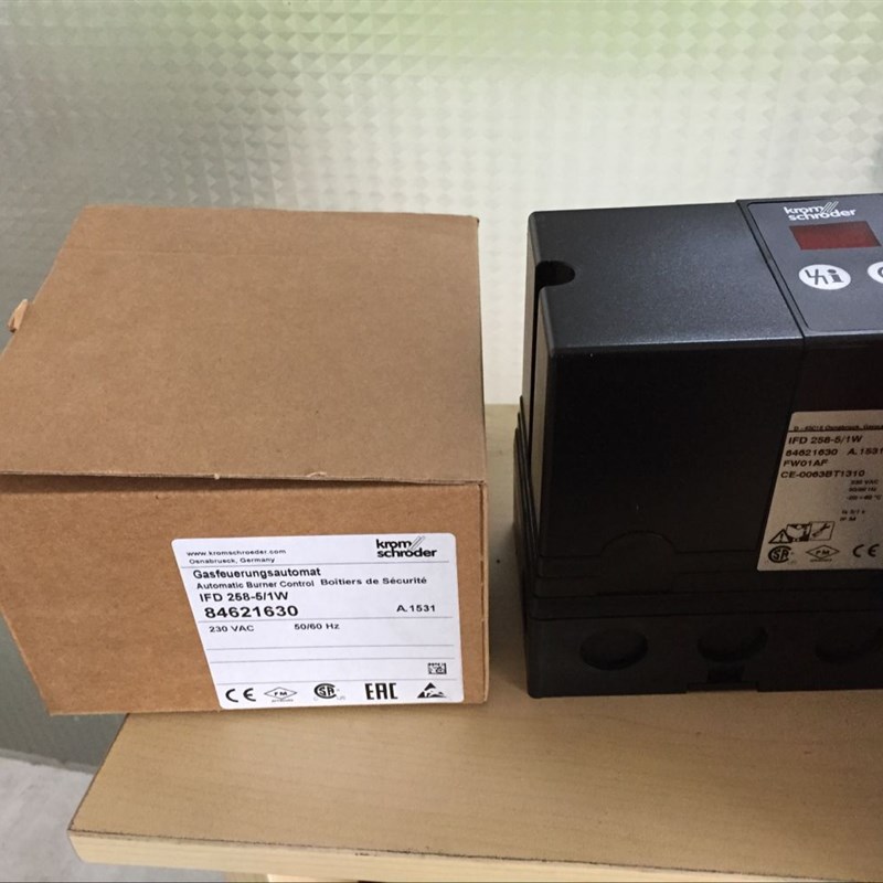 。IFD258-5/1W点火器,数显自动点火器IFD258-10/1W