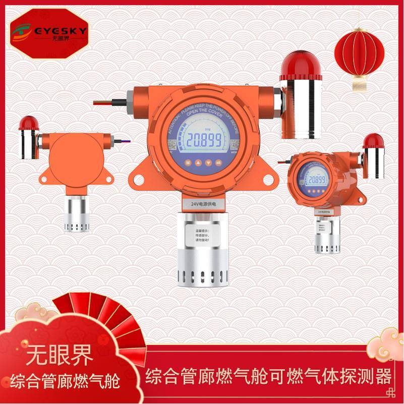 二氧化碳探测器固定式碳氧化物检测仪ES10B-CO2在线式