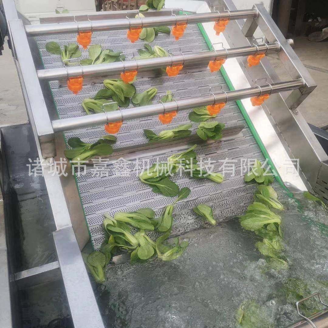 大果火参果气泡清洗机全自动高压喷淋蛇皮果洗果机亚大机械