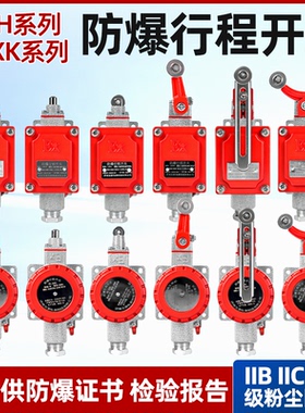 防爆行程开关DLXK防爆限位开关LX5--Z型L型B型D型H型N型防爆开关