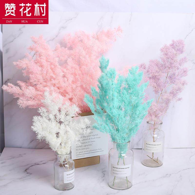 蓬莱松永生花 云南干花花束ins文艺拍摄道具装饰DIY花材 干花,家居饰品,餐桌花艺,淘宝优惠券,粉丝福利购,淘宝优惠卷