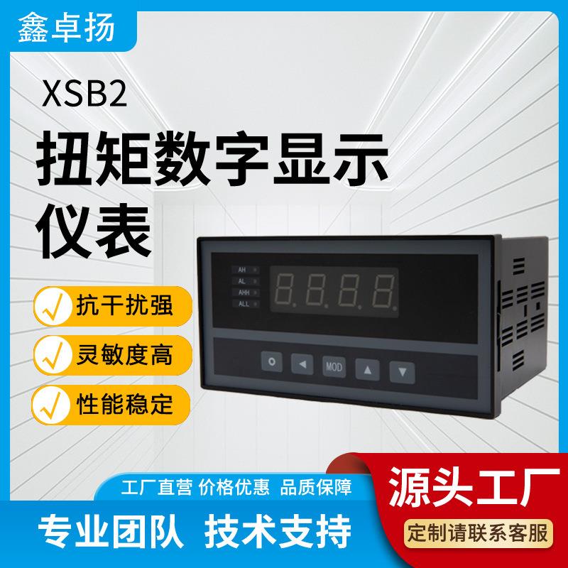 通用型智能工控系统测力仪表压力测试仪称重力值显示扭矩仪