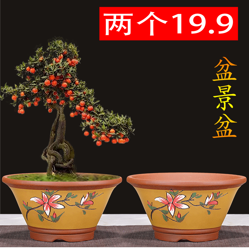 盆景花盆紫砂花盆绿萝花盆庭院盆景透气盆紫砂兰花盘精品特大号