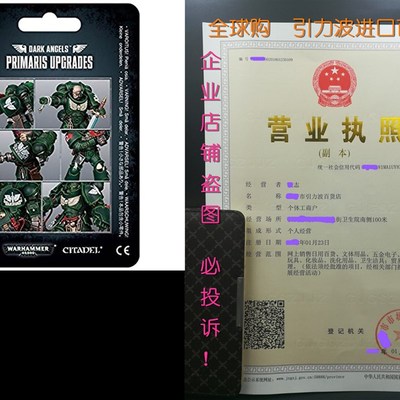 Dark Angels Primaris Upgrades