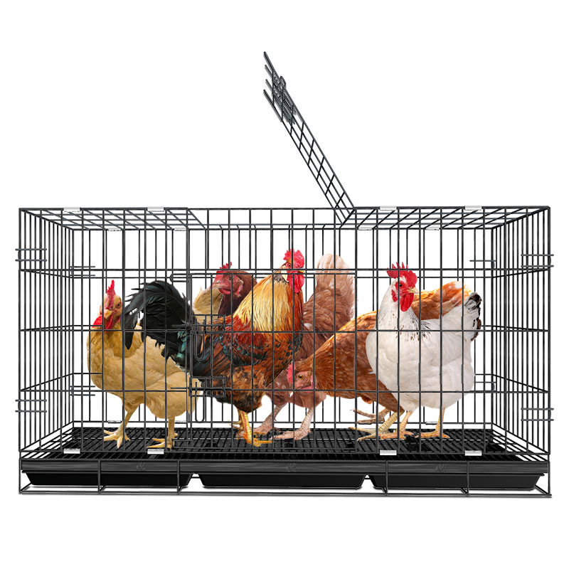 鸡笼子家用带粪盘鸡笼大号特大号免安装折叠养殖笼鸡舍鸭鹅兔子笼