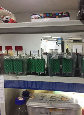 伯乐bio-rad电泳配件耗材电泳仪电钻仪绿色夹子侧边夹10010745绿