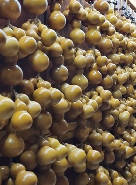 好货新款创意文玩家居装饰天然小葫芦摆件客厅餐厅墙壁挂饰背景墙