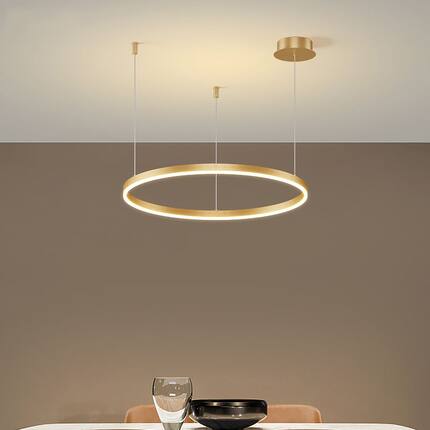 推荐Modern Led Ring Ceiling Chandeliers Lamp for Living Dini