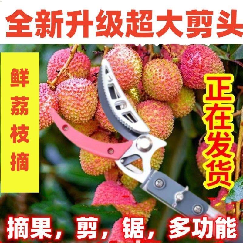 摘香椿槐花高空高枝剪不锈钢修枝剪刀果枝摘水果摘枇杷樱桃摘伸缩