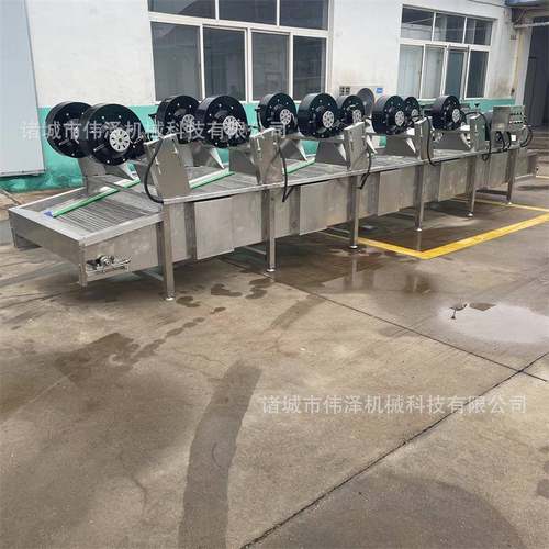 伟泽机械翻转风干机大枣震动沥水机沥水蔬菜机器土豆片风干设备