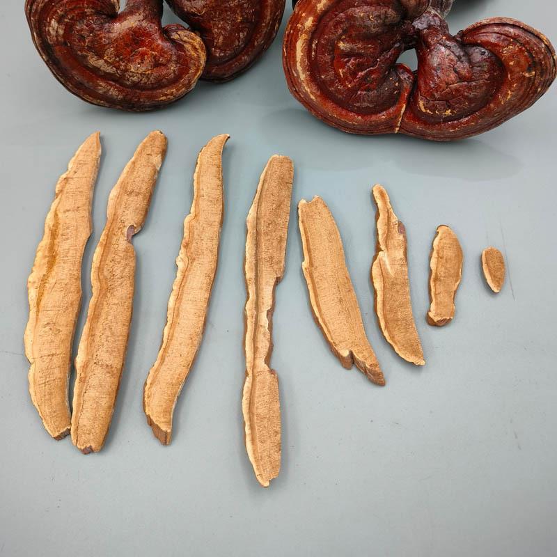 供应安徽大别山金寨 赤灵芝片 零售 林中灵 丹芝琼珍非紫灵芝