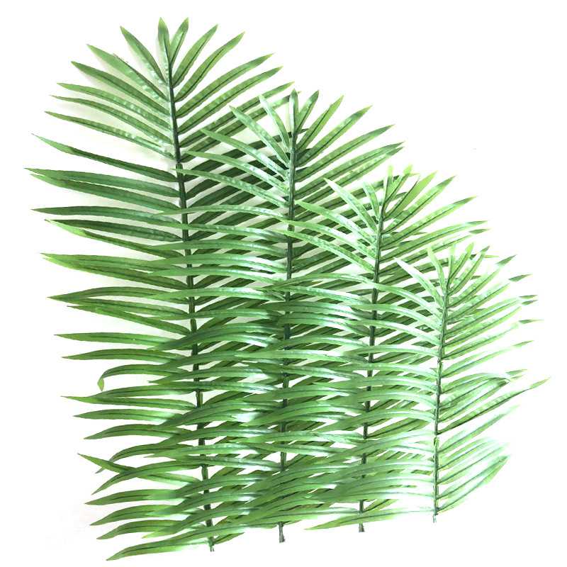 新款直销仿真椰子叶果树棕榈科植物园散尾叶博物馆盆栽椰子树假葵