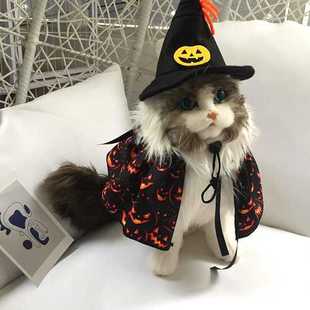新款直销万圣节搞怪南瓜蜘蛛派对宠物帽子头饰 宠物围巾法师装扮