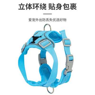 新款直销宠物牵引绳猫咪外出专用背带绳子遛猫神器反光胸背狗猫牵