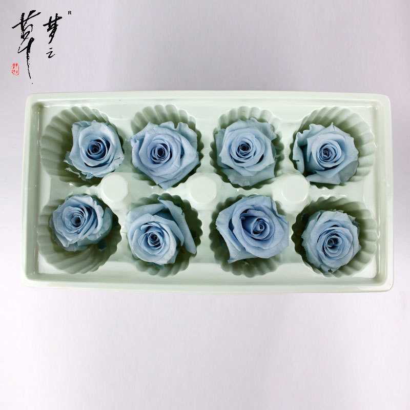 新款直销跨境创意款梦之草永生花玫瑰花材3-4 4-5亚马逊花店用品8