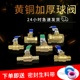 气泵加厚长柄铜2 4分6分球阀水管开关双内外丝8mm宝塔放出气阀