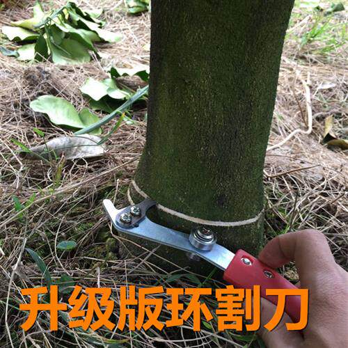 果树环剥蜜柚树环割剪环剥器荔枝树柑橘剥皮刀子枣树开甲工具包邮