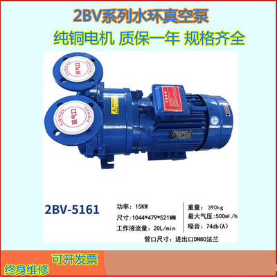 2BV型水环式真空泵 液环式真空泵高真空度电动真空泵规格齐全