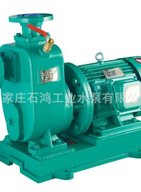 自吸泵生产厂家 优质自吸泵 200ZW280-28 自吸式排污泵