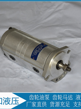 厂家供应 FDP-750 FDP-245非开挖钻机齿轮泵  CBK1016/6-B1FL