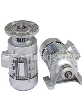 卧立式微型摆线针轮减速机WB65-WD-11-120W 生产厂家批发