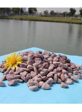 白色仿真专用装饰石子鸡血红卵石红色石头建筑彩色石板五彩石