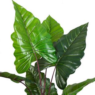 仿真植物彩虹芋盆栽室内仿真大型绿植落地摆件酒店假树摆饰品