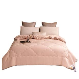 大豆纤维被母婴大豆被子冬季 加厚蛋白被芯双人太空被宿舍被褥