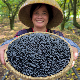 广东粤北农家自种肾性小黑豆老品种五谷杂粮打豆浆粗粮散装称重
