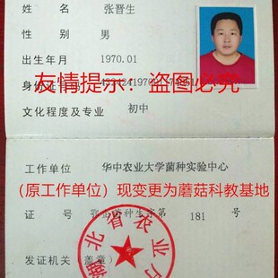 蜜环菌菌种母种天麻种萌发菌菌种天汉4号石斛小菇一级种原种